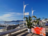 Tag 3 Cannes, Spaziergang entlang der Croisette, Promenade