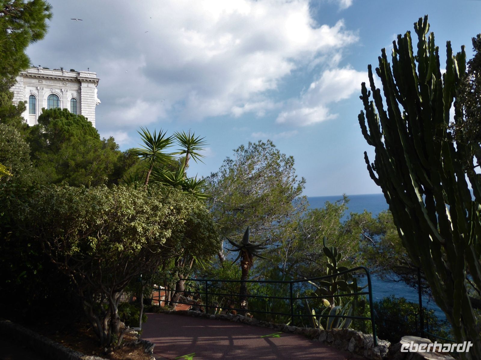 Tag 4 Monaco, botanischer Garten