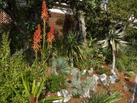 Tag 4 Monaco, botanischer Garten