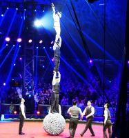 Tag 4 45. internationales Zirkusfestival