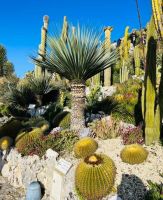 Tag 4 Wanderung zum Bergdorf Èze, botanischer Garten (Gruppe 2)