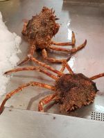 Riesenkrabben im Marché Forville