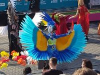 Farbenfroher Papagei 