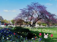 Tag 4 09.04.2023 Ostersonntag