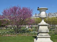 Tag 3 08.04.2023 Jardin des Tuileries