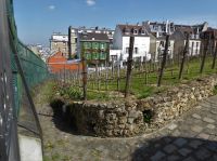 Tag 4 09.04.2023 Entdeckerrundgang über den Montmartre, Weinberg