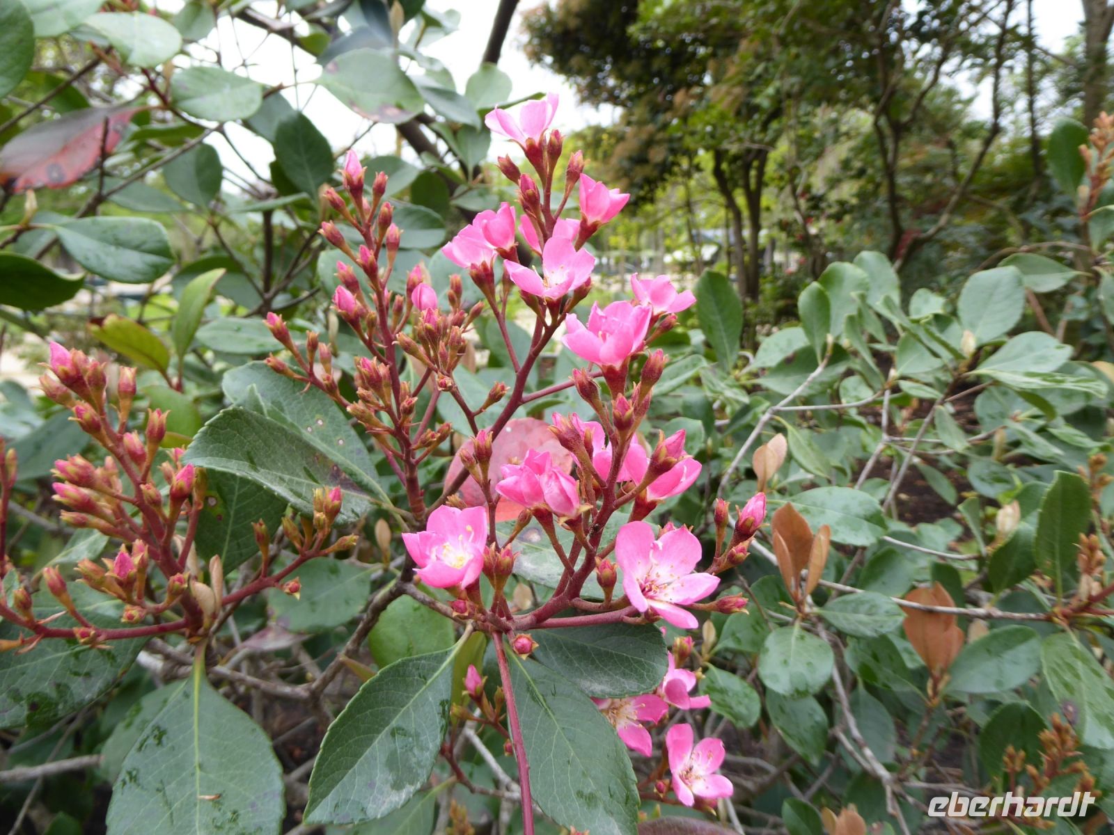 Tag 5 10.04.2023  Entdeckerspaziergang im 6. Arrondissement, Jardin de Luxembourg