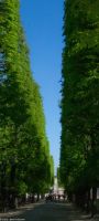Paris - Jardin du Luxembourg
