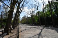 Paris - Jardin du Luxembourg - Boule Platz