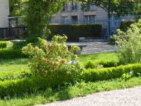 Tag 4 01.05.2023  Stadtbummel im Marais