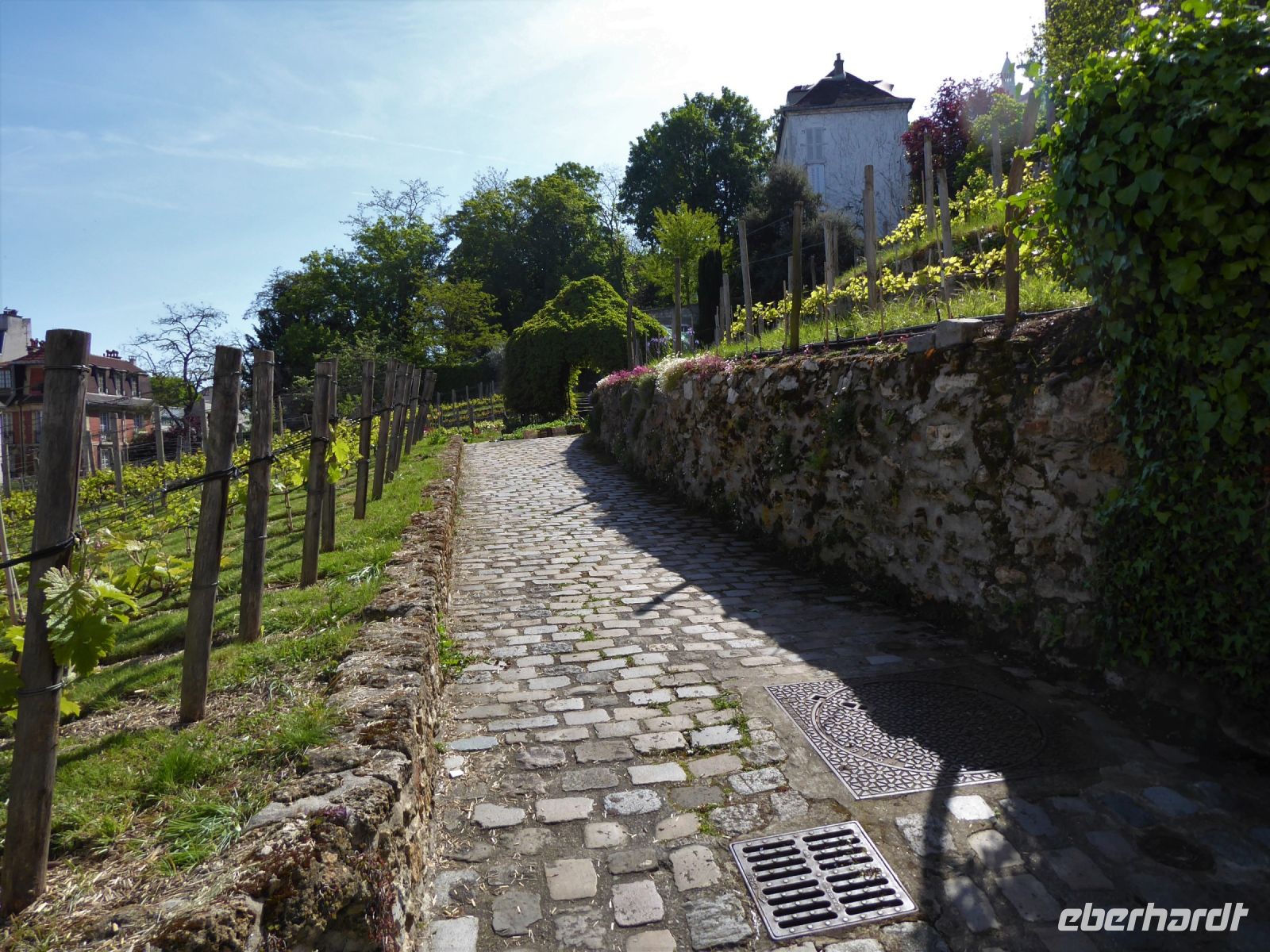 Tag 5 02.05.2023  geführter Entdeckerspaziergang über den Montmartre, Weinberg