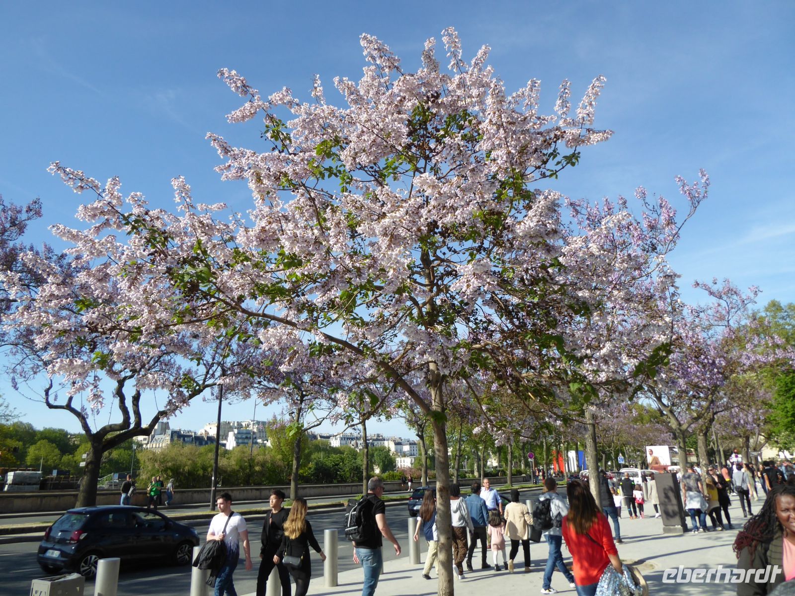 Tag 5 02.05.2023  Flanieren um den Eiffelturm