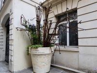 Tag 6 04.05.2023 Spaziergang am Morgen