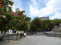 Tag 6 04.05.2023 Spaziergang am Morgen