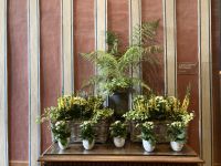 Blumenschmuck je nach Jahreszeit im Schloss Chenonceau