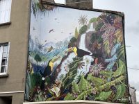 Amazonas in Clisson?