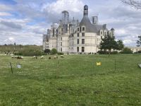 Chambord mit „Biorasermähern“