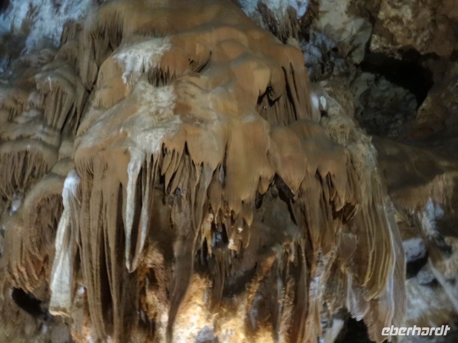 Groote de la Madeleine