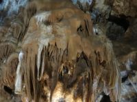 Groote de la Madeleine