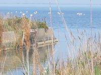 Camargue Etang du Vaccares