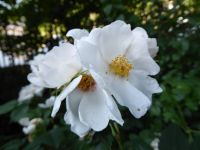 Tag 1, 27.05.2023 Entdeckerspaziergang 