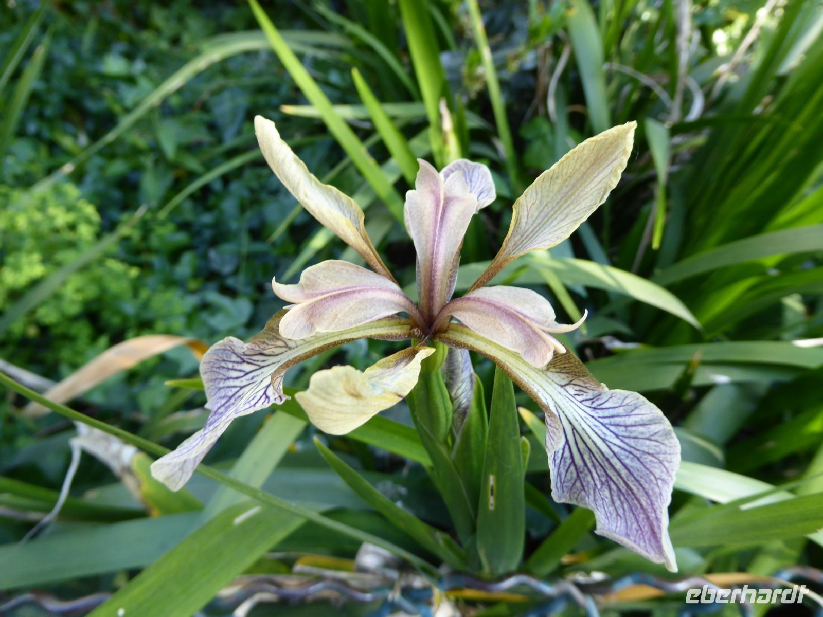 Tag 1, 27.05.2023 Entdeckerspaziergang 