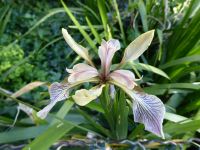 Tag 1, 27.05.2023 Entdeckerspaziergang 