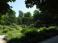 Tag 2 28.05.2023 Stadterkundung, Jardin des Tuileries