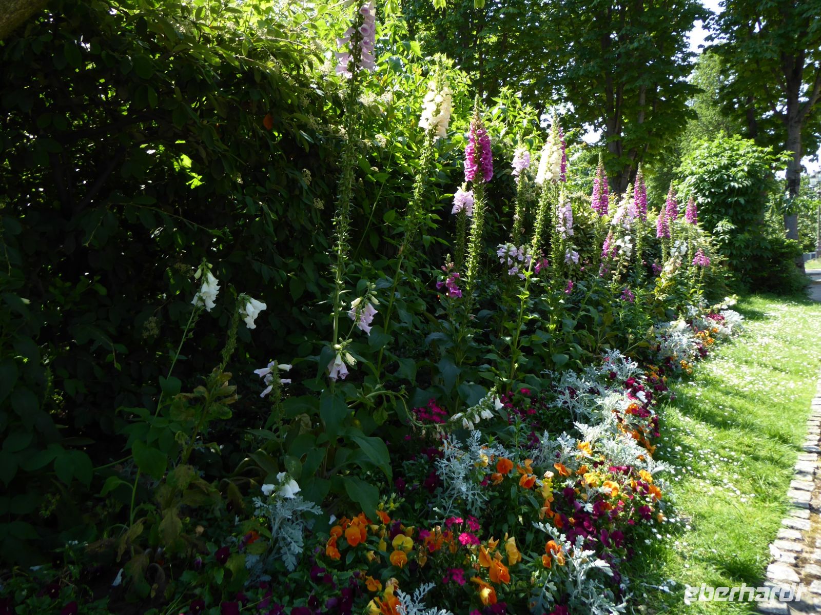 Tag 3 29.05.2023 Entdeckertour 