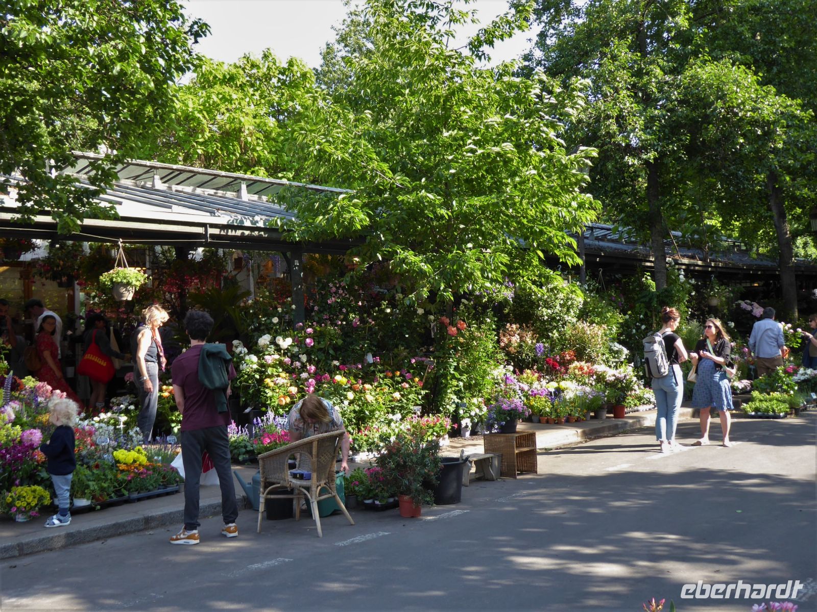 Tag 3 29.05.2023 Entdeckertour, Blumenmarkt