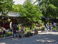 Tag 3 29.05.2023 Entdeckertour, Blumenmarkt