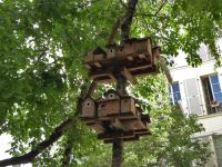 Tag 4 30.05.2023 Spaziergang im Marais