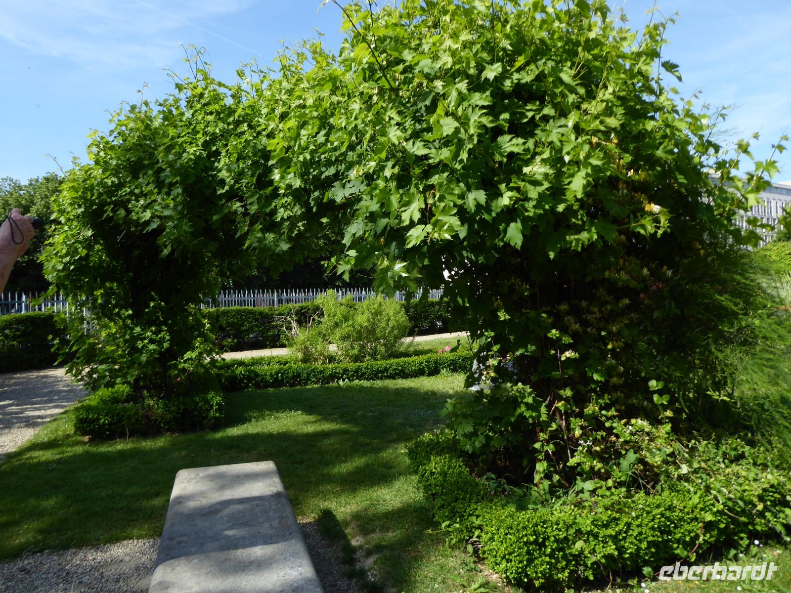 Tag 4 30.05.2023 Spaziergang im Marais