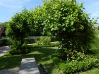 Tag 4 30.05.2023 Spaziergang im Marais