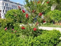 Tag 4 30.05.2023 Spaziergang im Marais