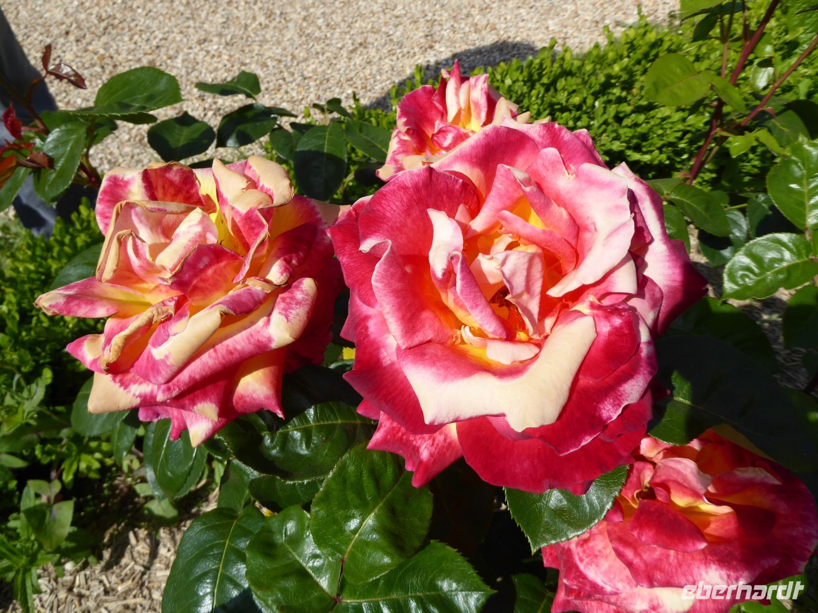 Tag 4 30.05.2023 Spaziergang im Marais