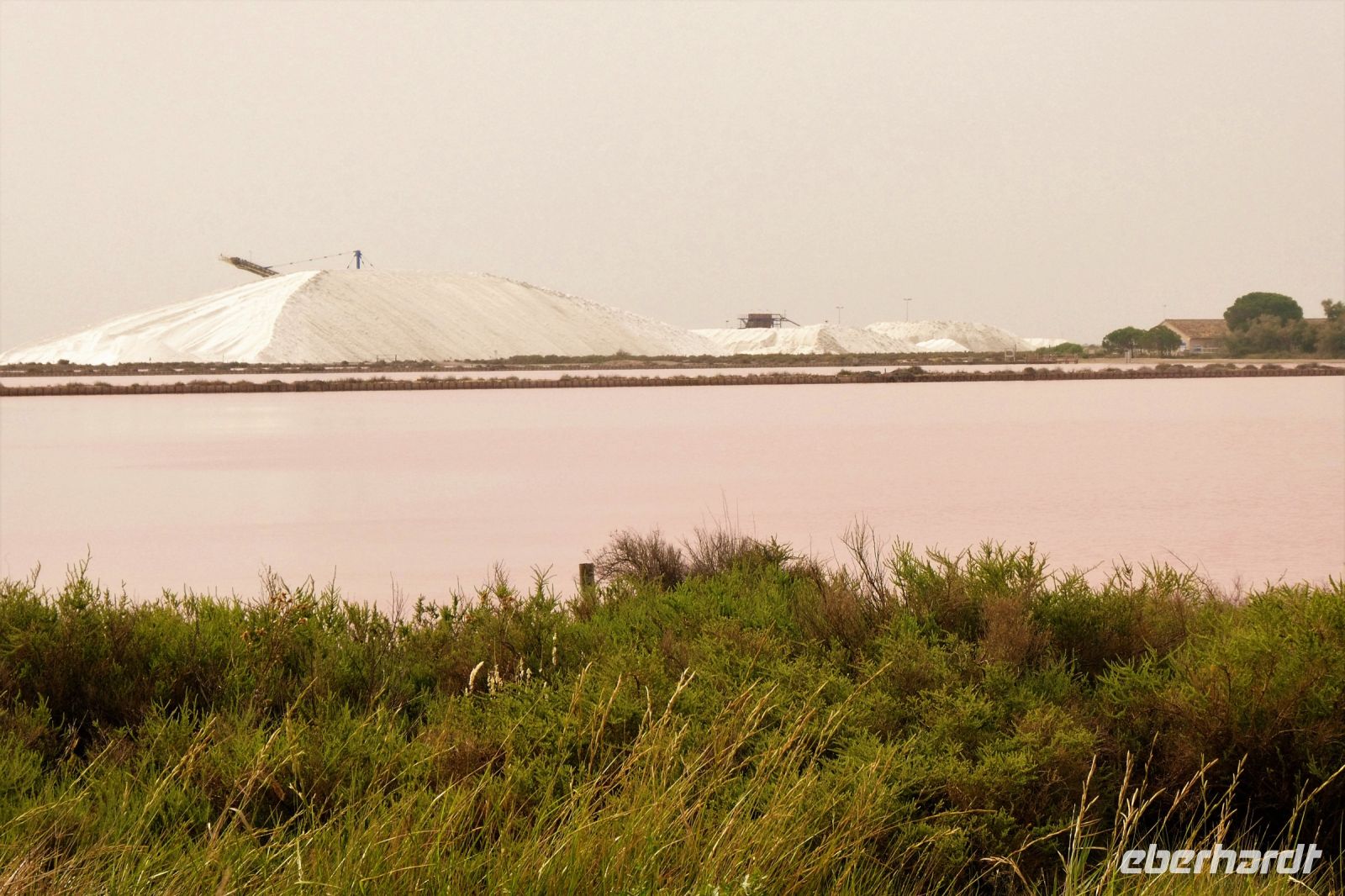 Fleur-de-Sel im großen Stil