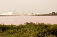 Fleur-de-Sel im großen Stil