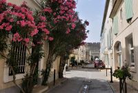 In der Altstadt von Aigues-Mortes