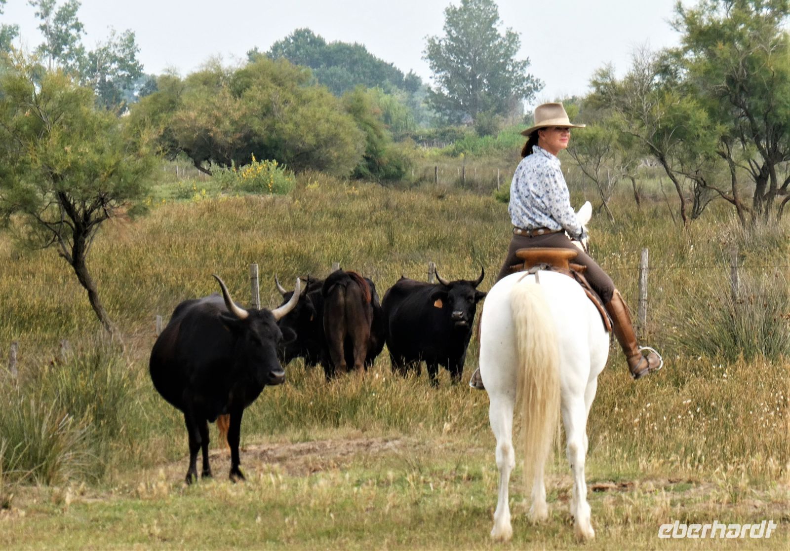 sie gehorchen vom Pferderücken aus