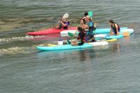 Paddelkurs auf der Rhone