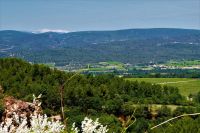 Blick zum Mont-Ventoux