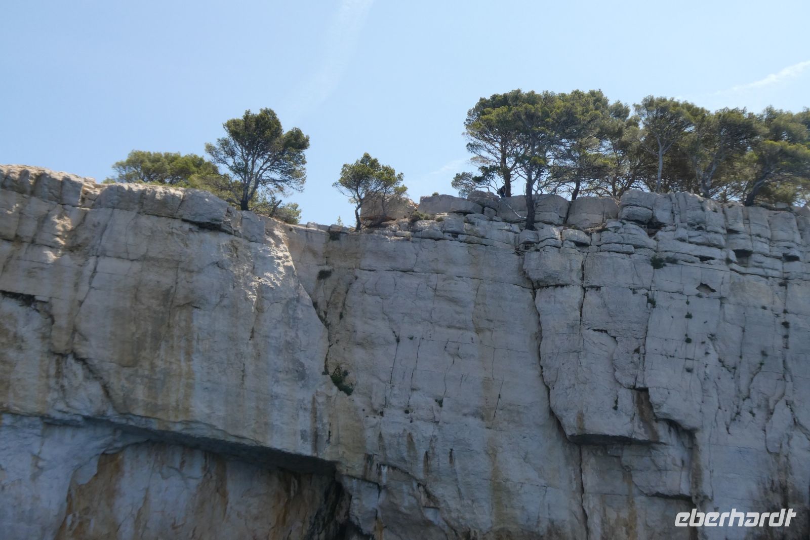 Kalkstein und Pinien