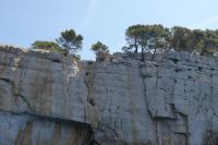 Kalkstein und Pinien