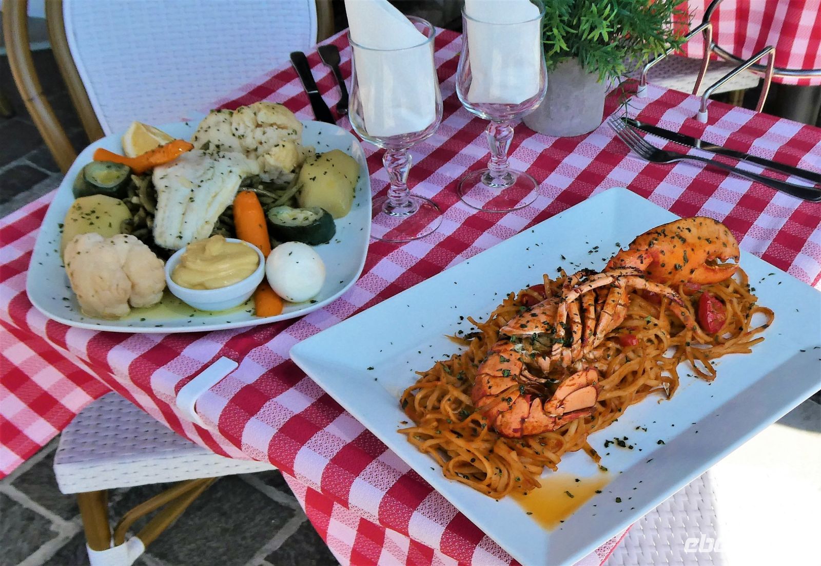 Schade, wir müssen zurück