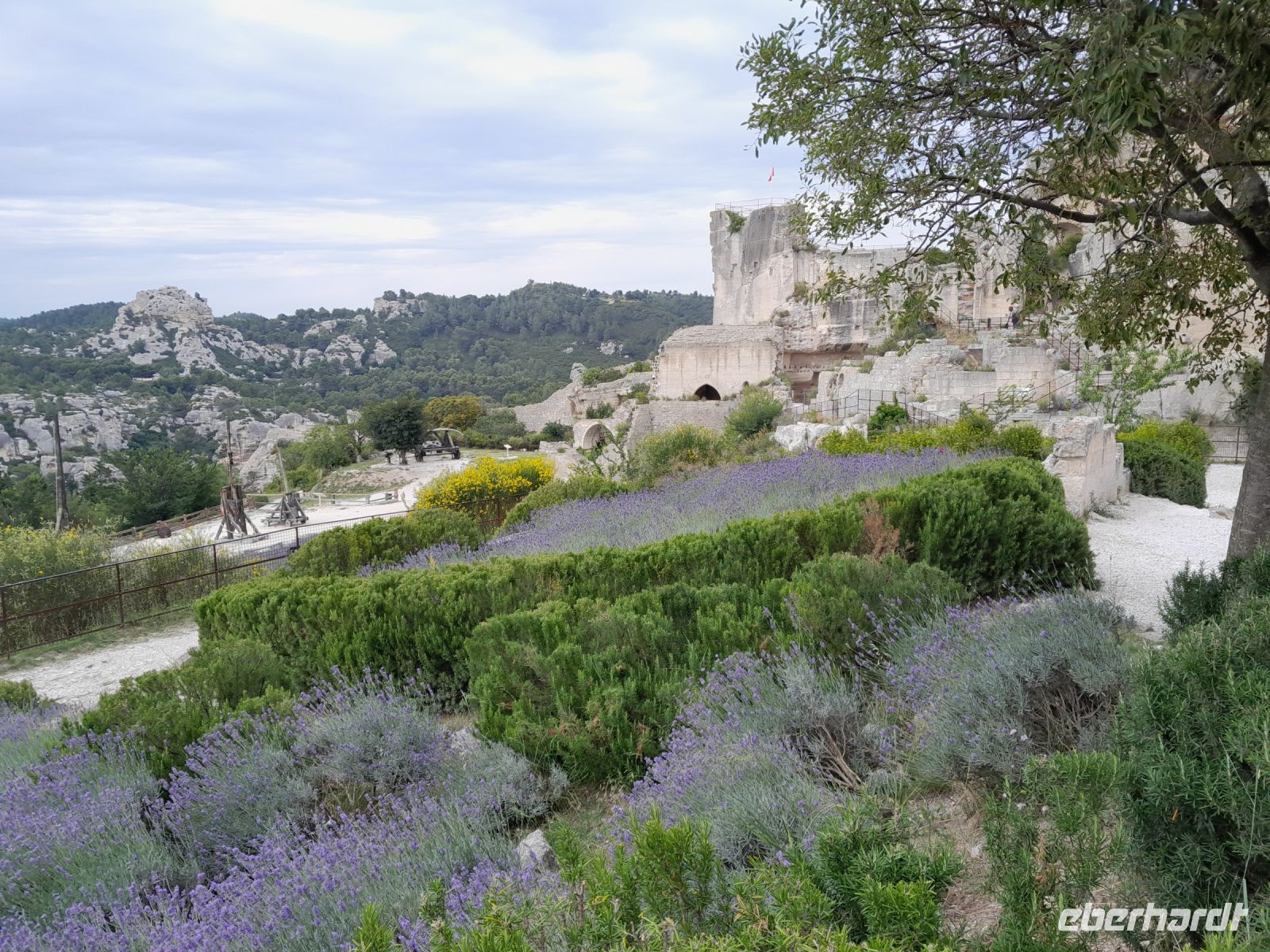 Burg - Felsen - Lavendel am Nachmittag 