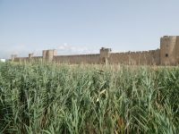 die Stadt Aigues-Mortes von Weitem gesehen