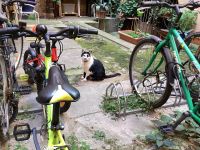 Wo wollen nur all diese Menschen hin?