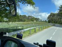 Bei den Menhirfeldern von Carnac