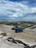 Blick auf die Austernbänke